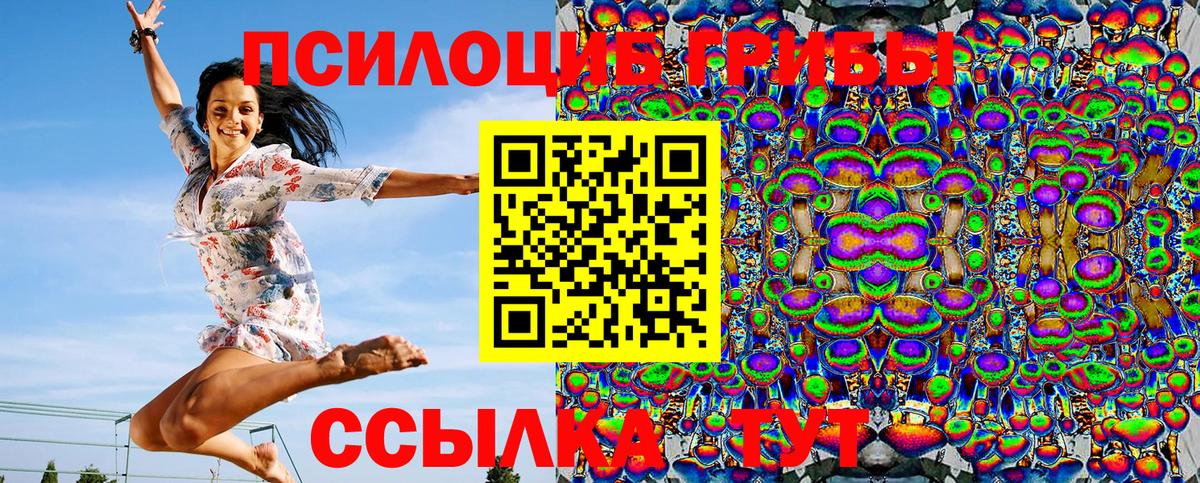 Псилоцибиновые грибы Psilocybe Нефтеюганск
