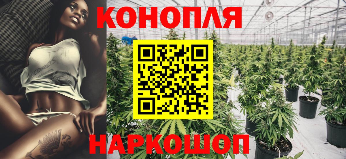 Нефтеюганск  Конопля White Widow  Каннабис сатива  Конопля Bruce Banner  Вход с VPN 